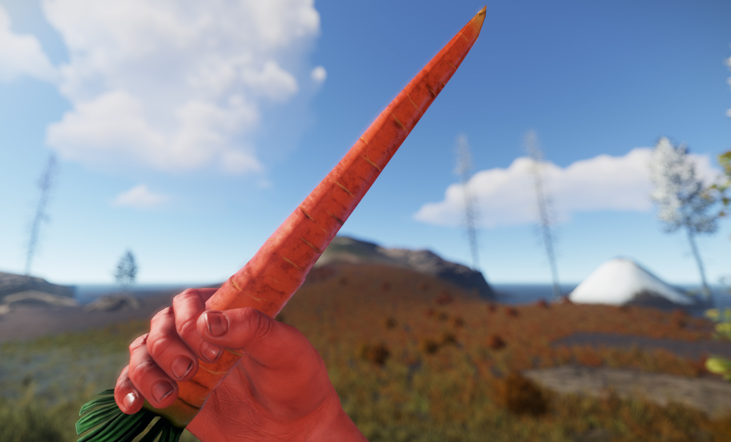 Carrot Knife