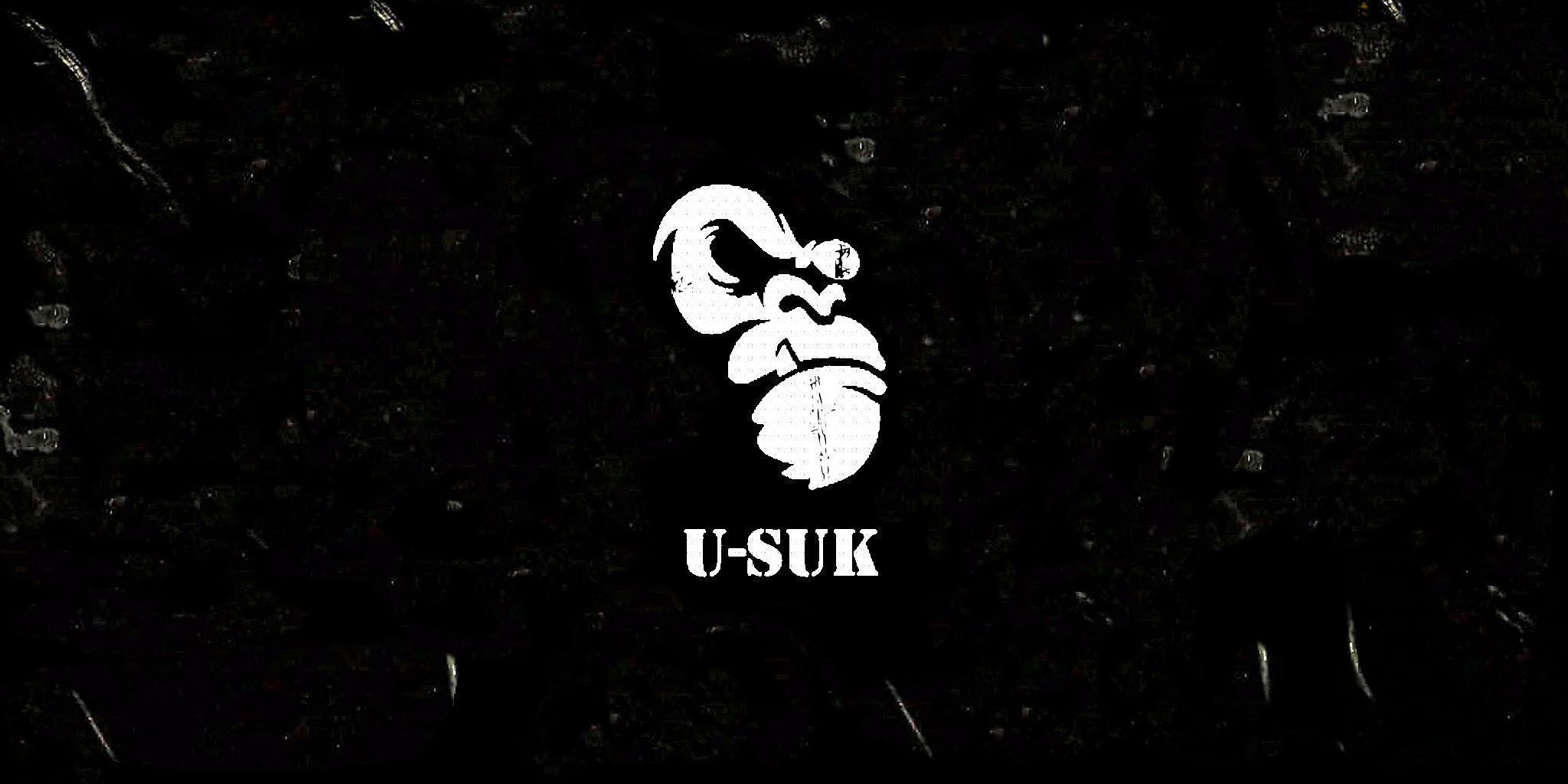 USUKDayZExpansionFlags