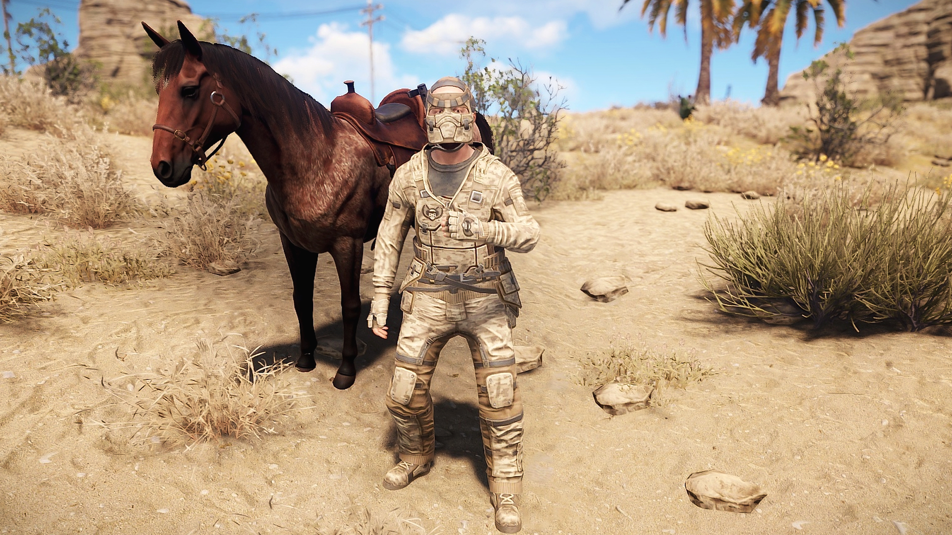 Desert Raiders Hoodie