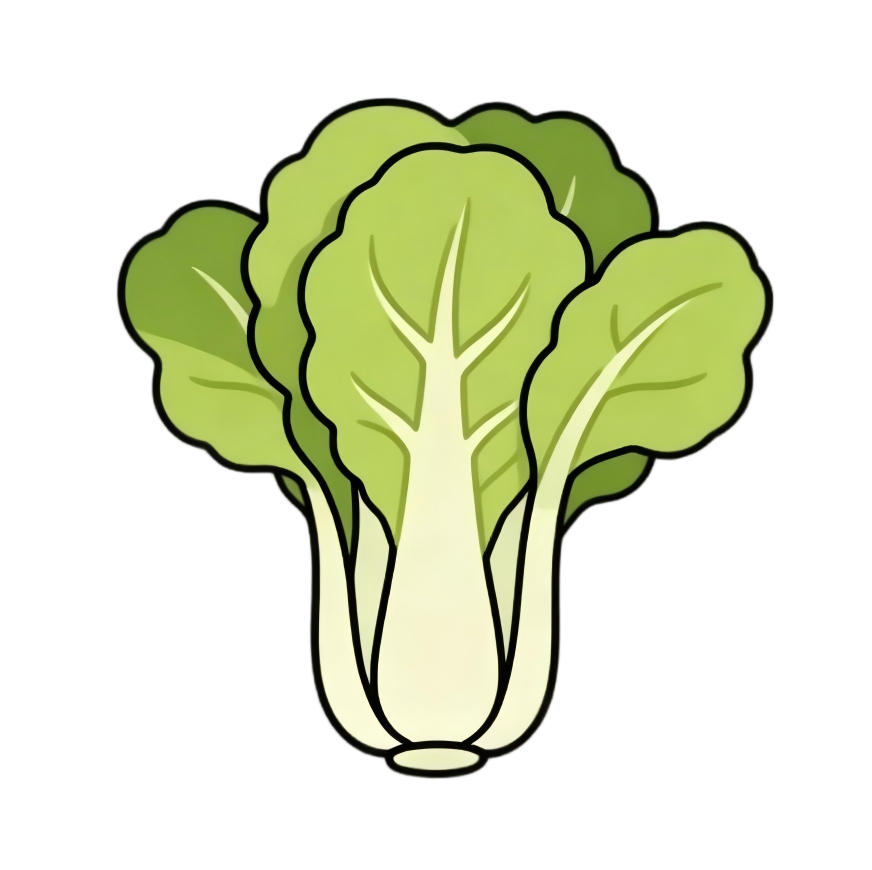 Chinese cabbage