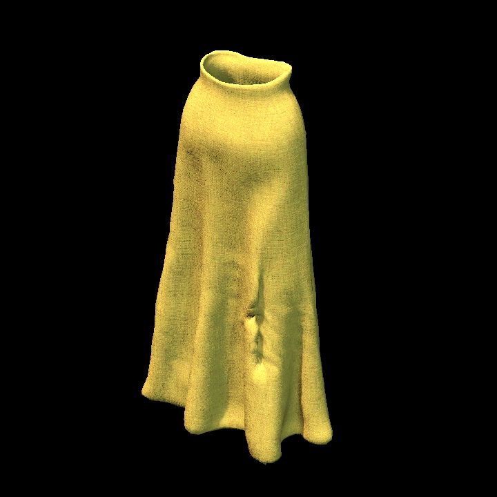 Long skirt 12