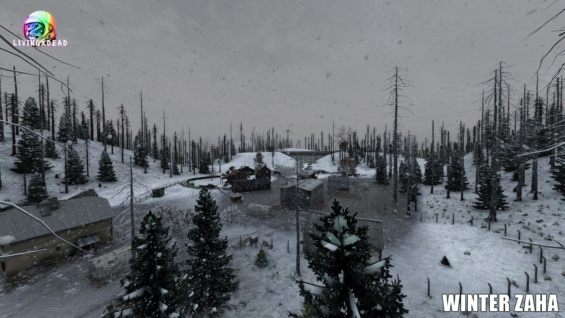 Winter Zaha