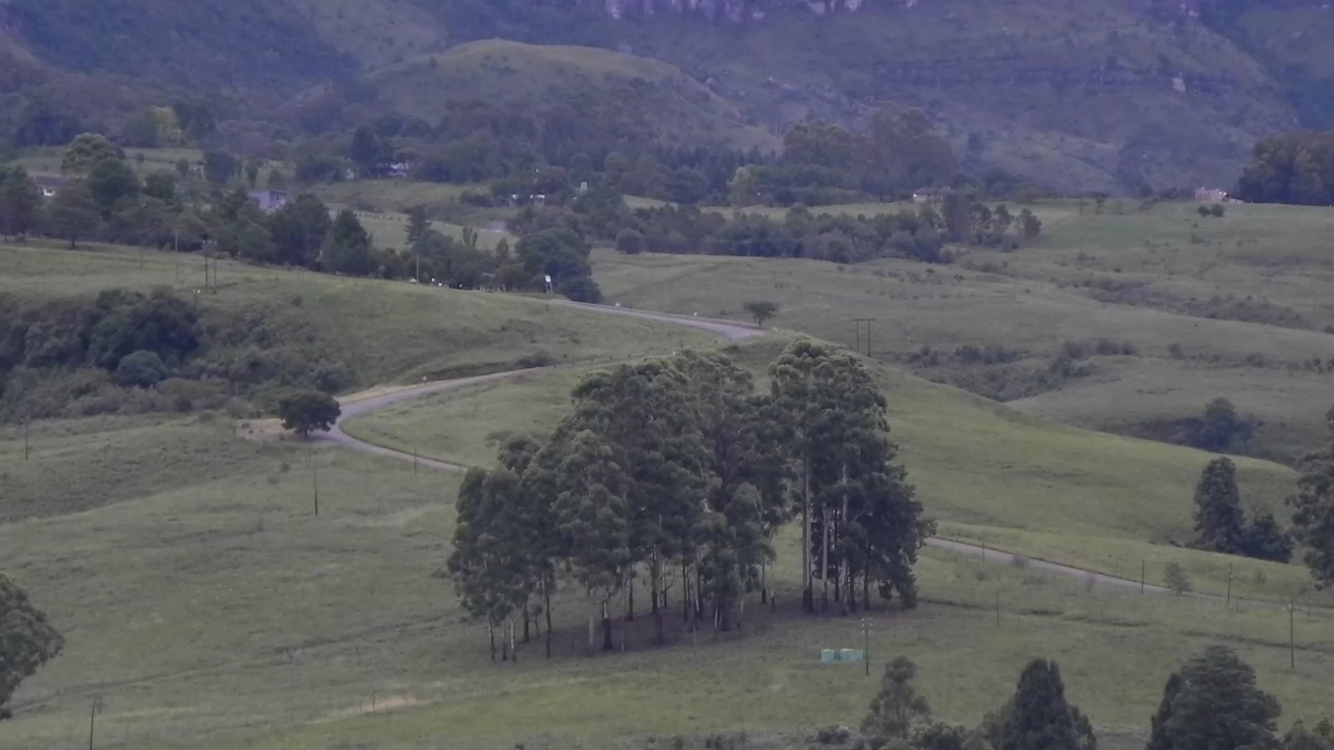 Hill