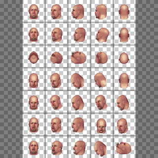 Bill Goldberg Head