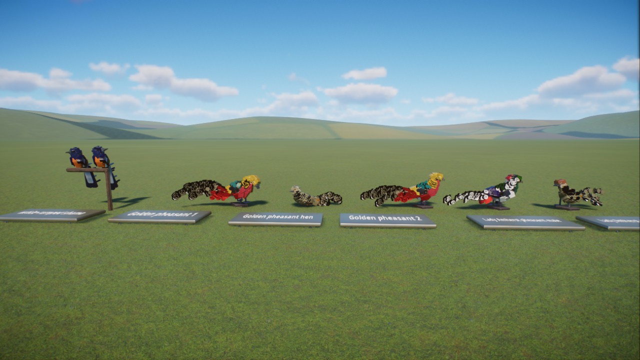 Drac's pheasants