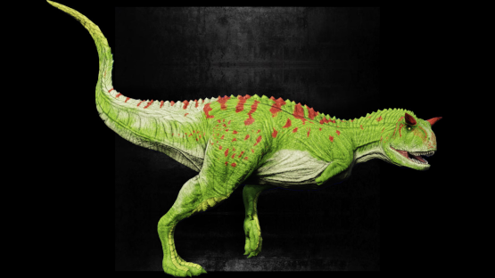 Green Day Carno {St. Patrick's Stuff}