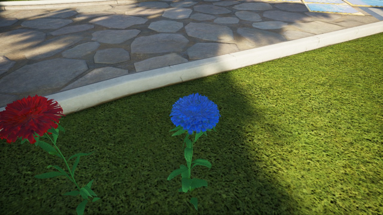 fleur-aster-flexicolor-01