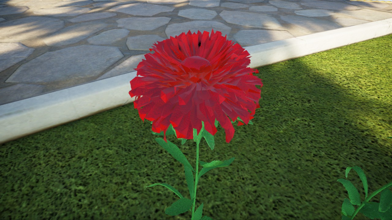 fleur-aster-flexicolor-02