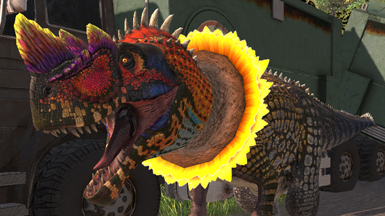 Sunflower Collar for Bruisers