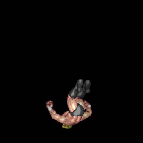 Swan Dive Shooting Star Press