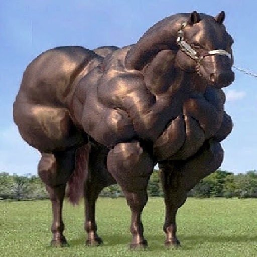 The Horses Are Very Big