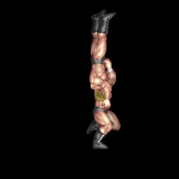 Adam Cole's Kneecap Brainbuster