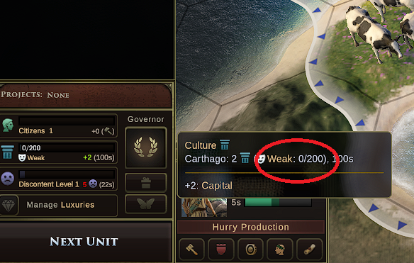 City Culture Level