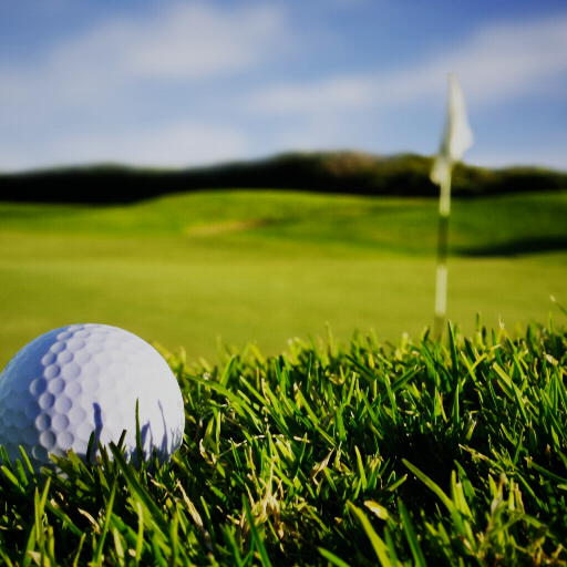 JUST GOLF