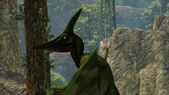 Pine Ptera (St Patricks 2021)