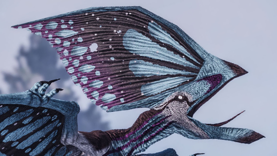  Heniochus Tupa
