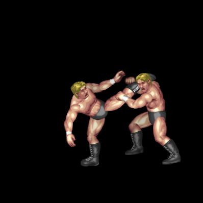 Brazilian Kick (combo clincher)