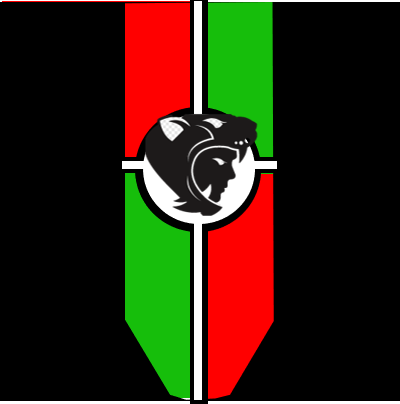 Bandera Guerrero Jaguar