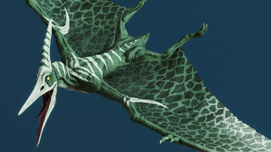 Mimic Ptera