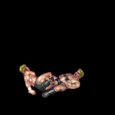 Inverted Figure 4 Leglock (Guard)