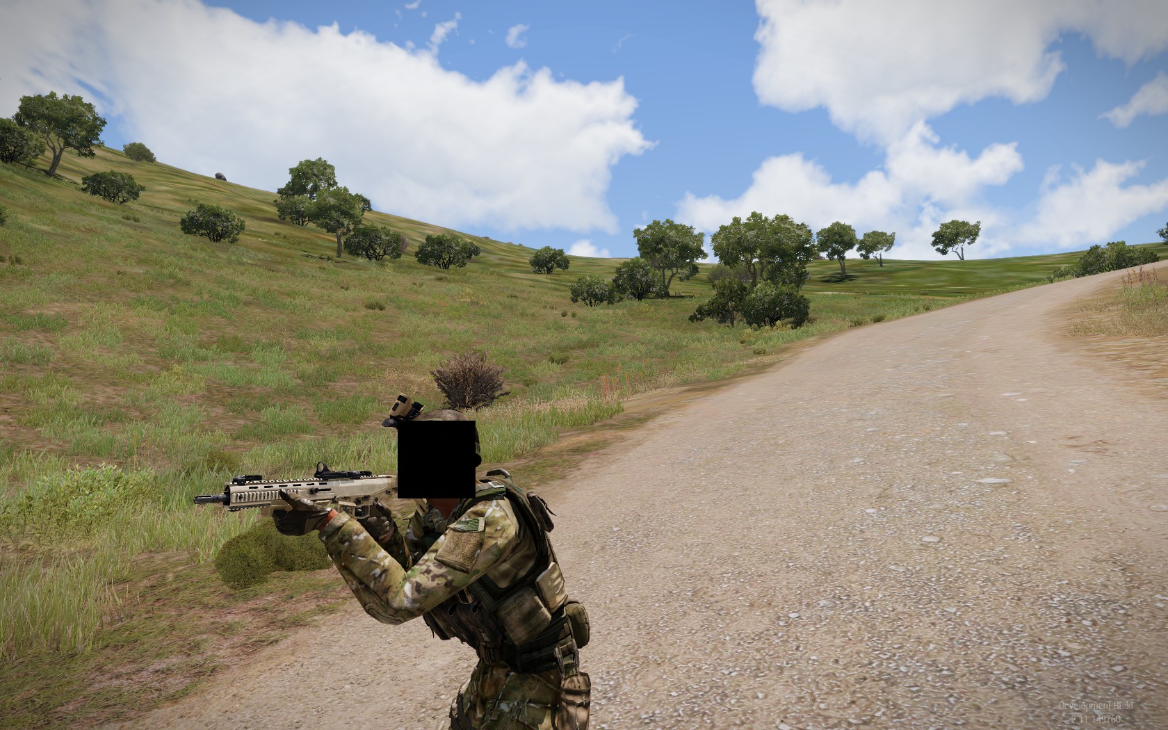 Redacted Face