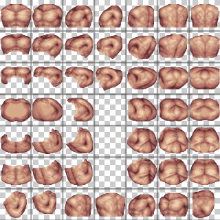 Steiner Chest