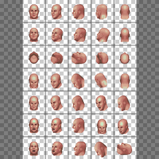 steiner face v3