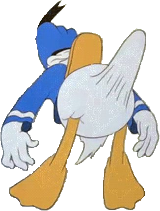 b0ner