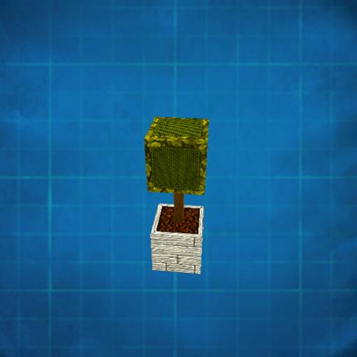 Small tree in a planter