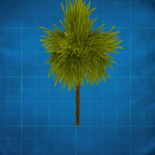 Palm tree