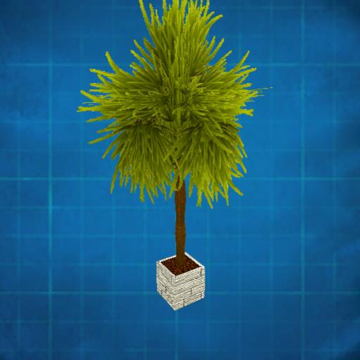 Palm tree in a planter