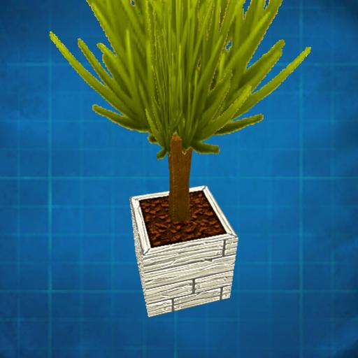 Small palm in a planter
