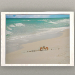 Sand Crab on a Beach Framed Picture