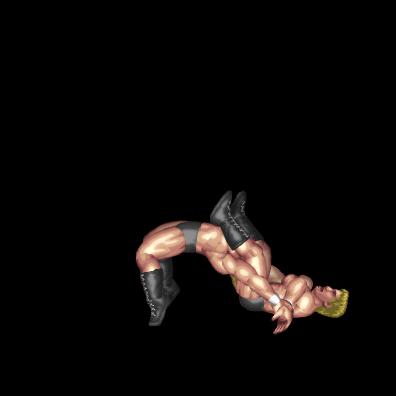 Japanese Ocean Cyclone Suplex B