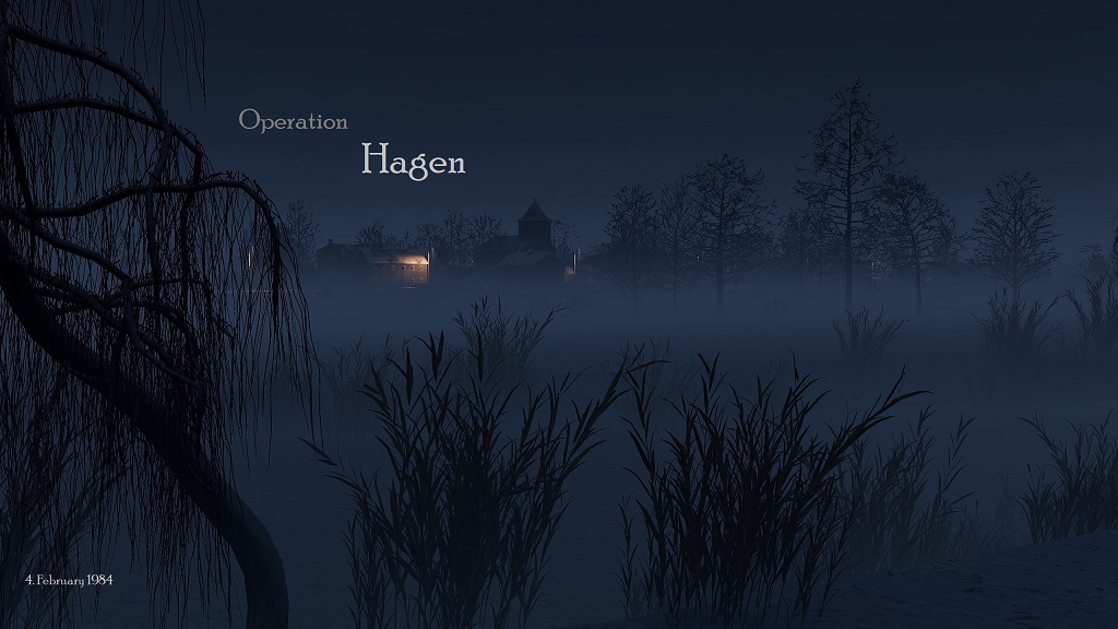 Operation Hagen