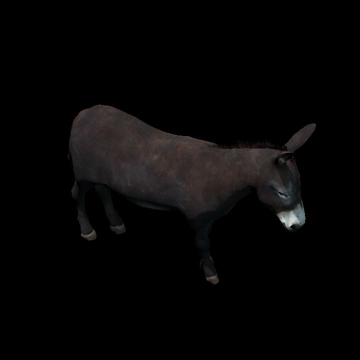 Donkey (animated)