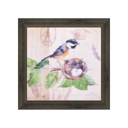 20x20 inch Bird Art Print 1C