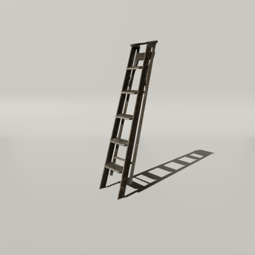 Wood Ladder, Stored