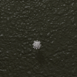 Coronavirus