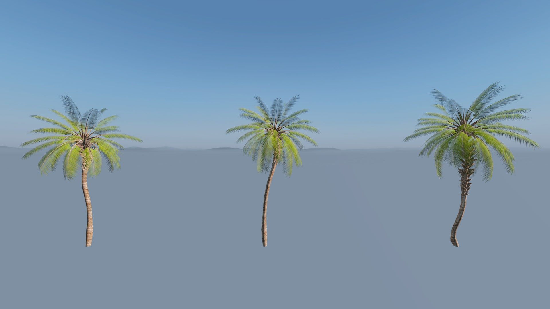 Jungle Plants