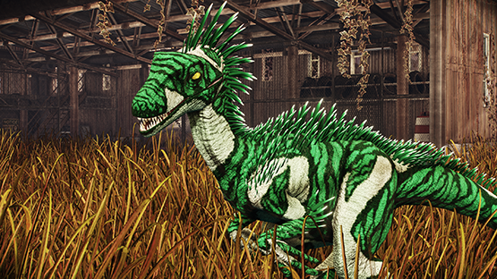 Carex Novaraptor (St Patricks 2024)