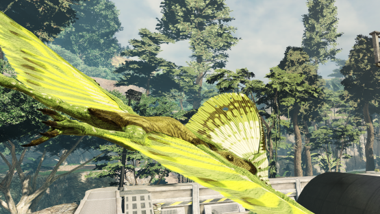 Kiwi tupa
