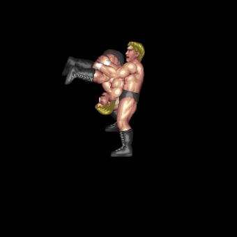 Avalanche Package Piledriver