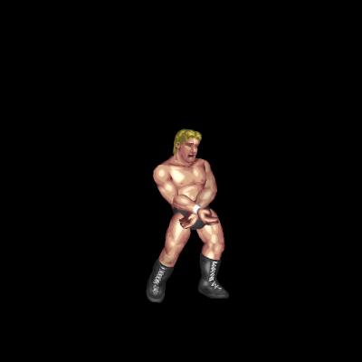 DX Chop Series