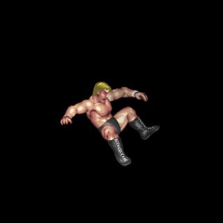 Low Dropkick (Standing(L))