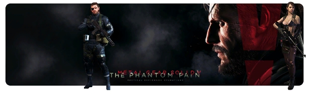 MGS V
