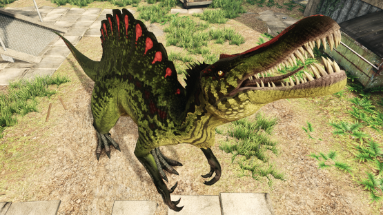 Citrullus Spino (Standalone skin)
