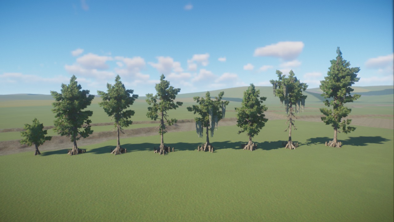 Custom Bald Cypress