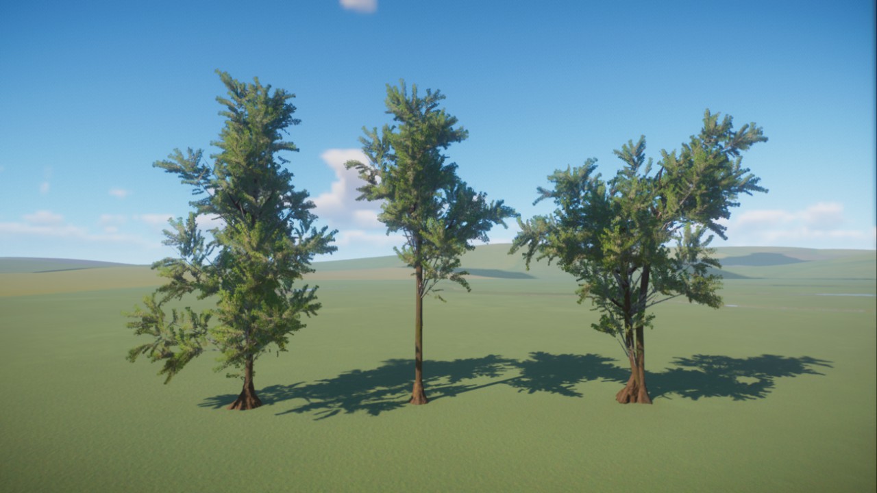 Custom Plant: Water Hickory (Carya aquatica)