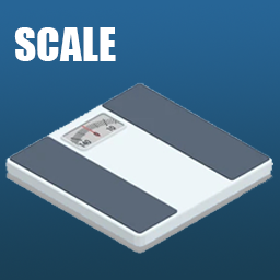 Scale